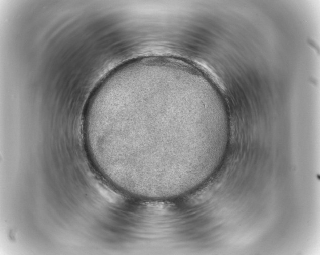 X0000093250439200710241317