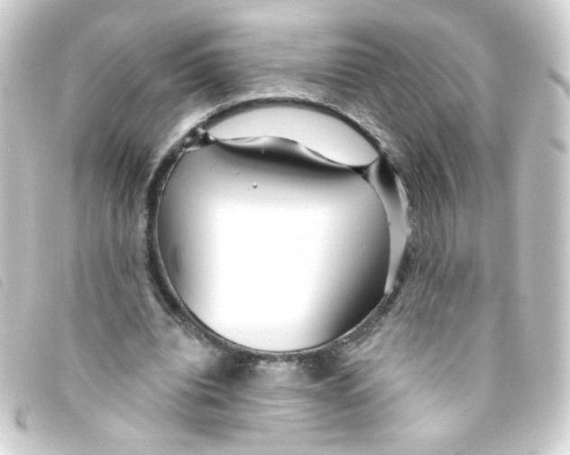 X0000093250440200710241317