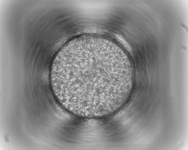 X0000093250441200710241317