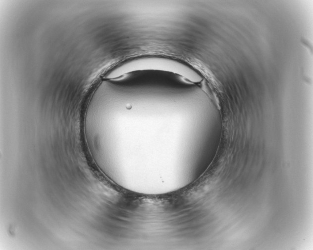 X0000093250442200710241317