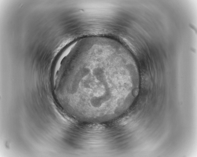 X0000093250443200710241317