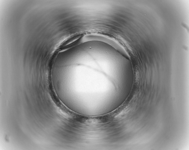 X0000093250444200710241317