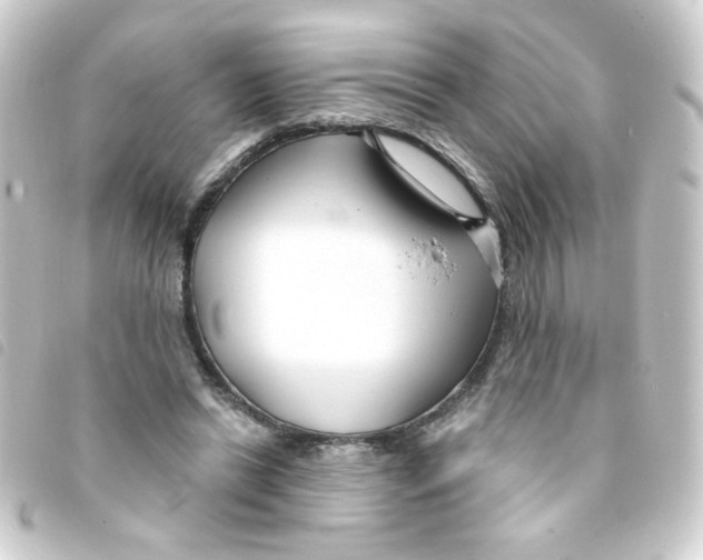 X0000093250446200710241317