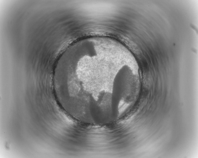 X0000093250449200710241317