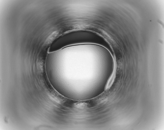 X0000093250452200710241317