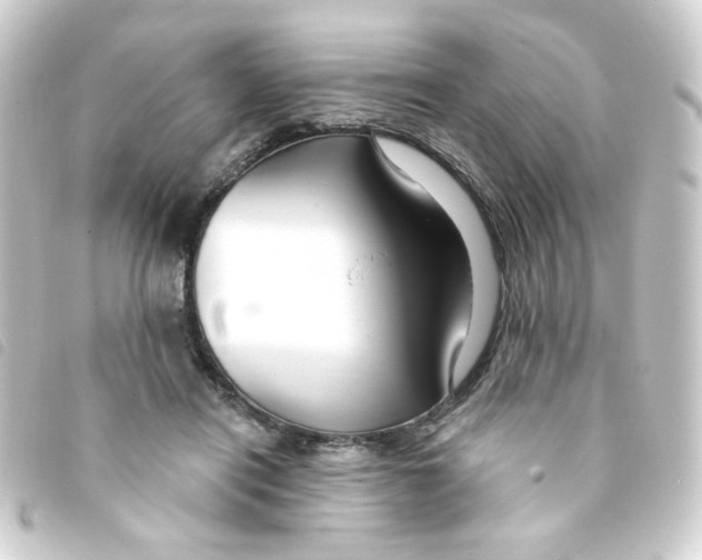 X0000093250454200710241317