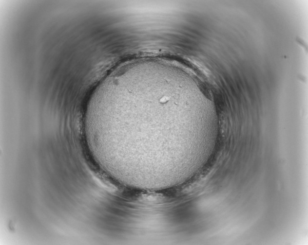 X0000093250455200710241317