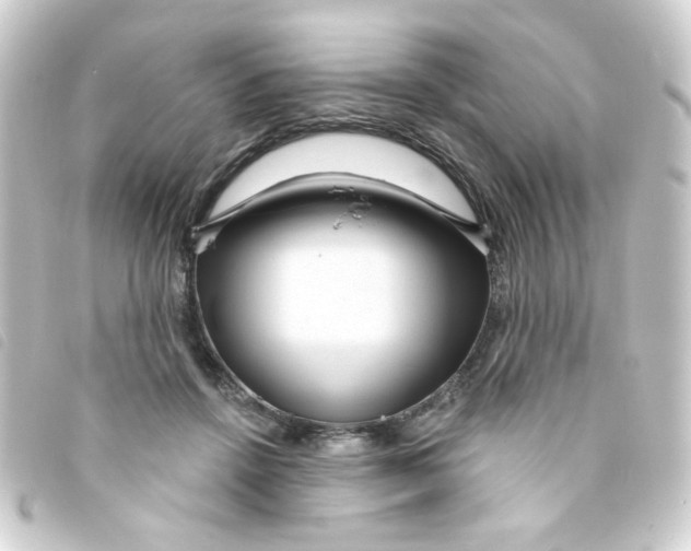 X0000093250456200710241317
