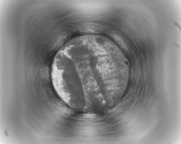 X0000093250457200710241317