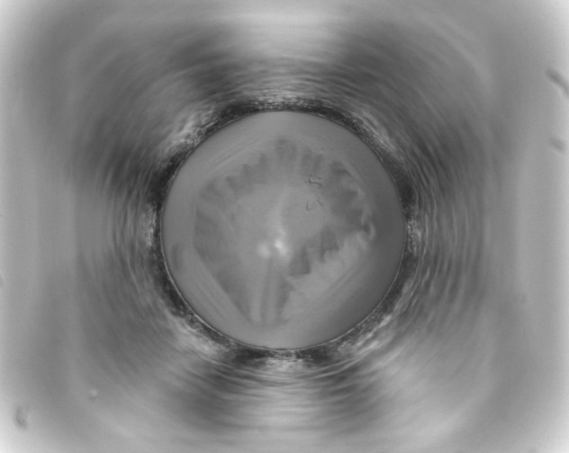 X0000093250458200710241317