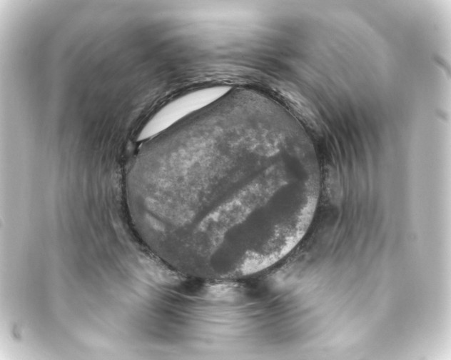 X0000093250461200710241317