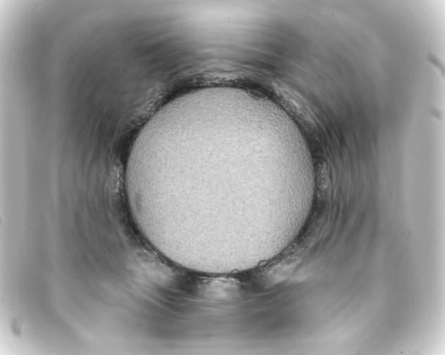 X0000093250463200710241317