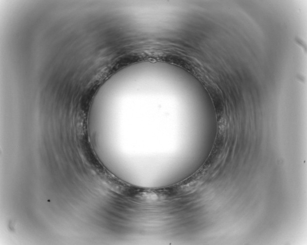 X0000093250464200710241317