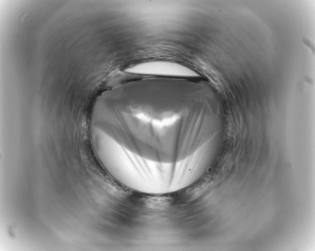 X0000093250465200710241317