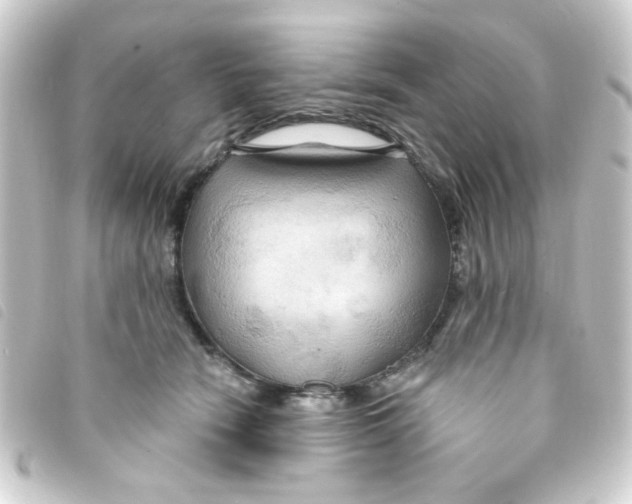 X0000093250466200710241317