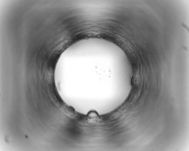 X0000093250468200710241318