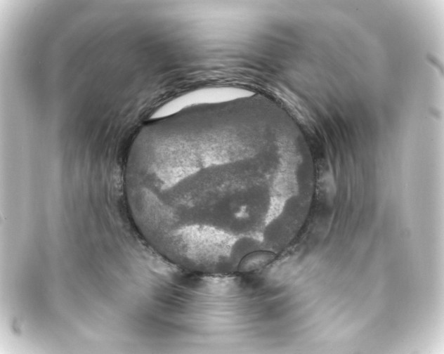 X0000093250469200710241318
