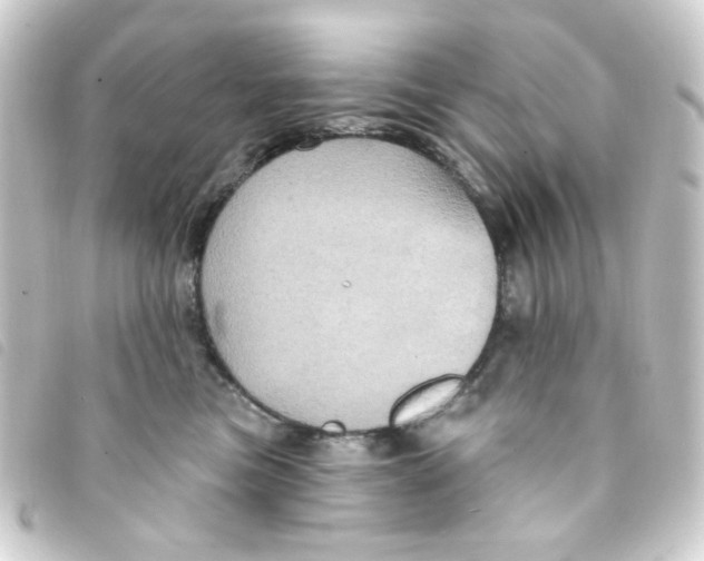 X0000093250473200710241318
