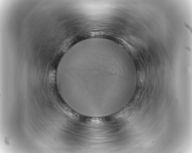 X0000093250475200710241318