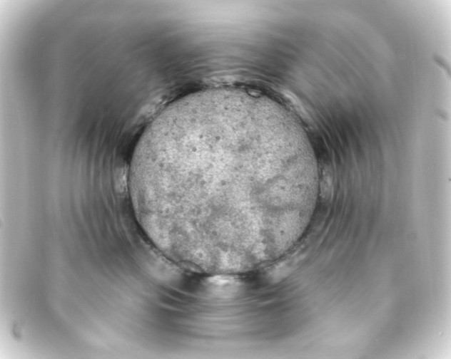 X0000093250477200710241318