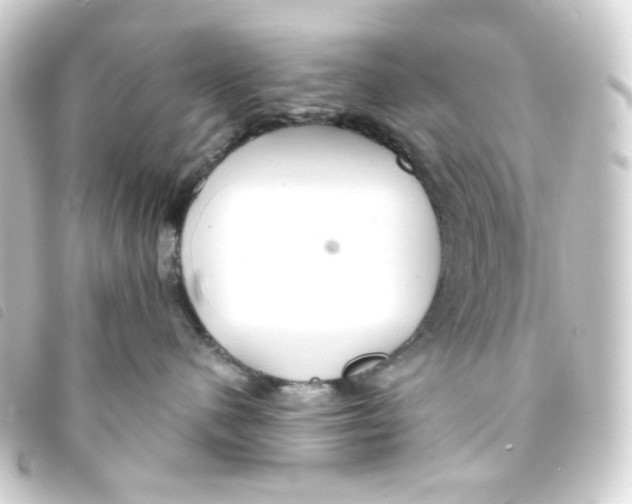 X0000093250480200710241318
