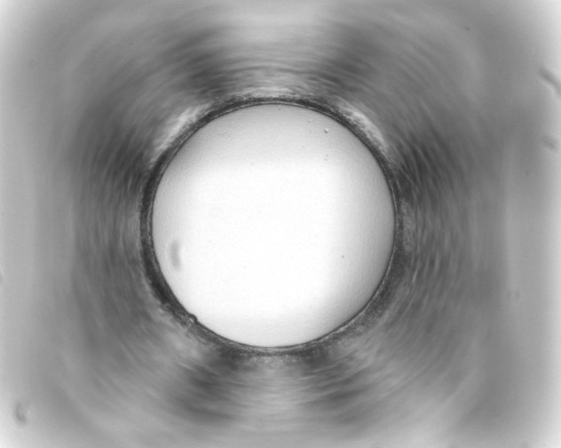 X0000093250482200710241317