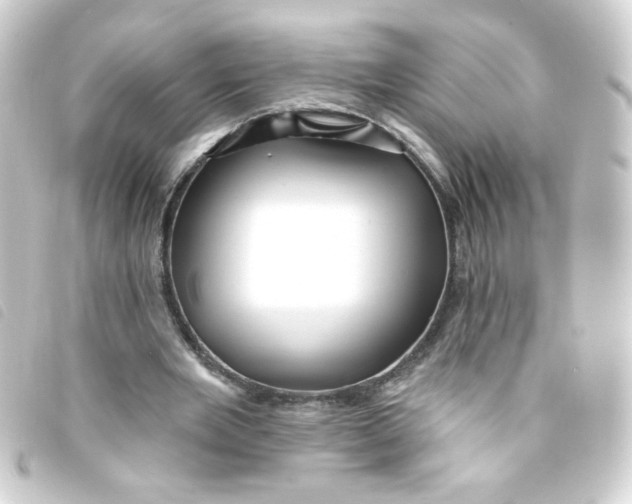 X0000093250485200710241317