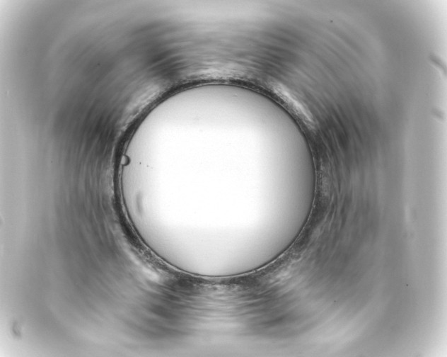 X0000093250486200710241317