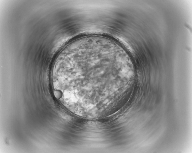 X0000093250487200710241317