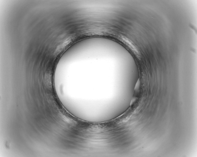 X0000093250489200710241317