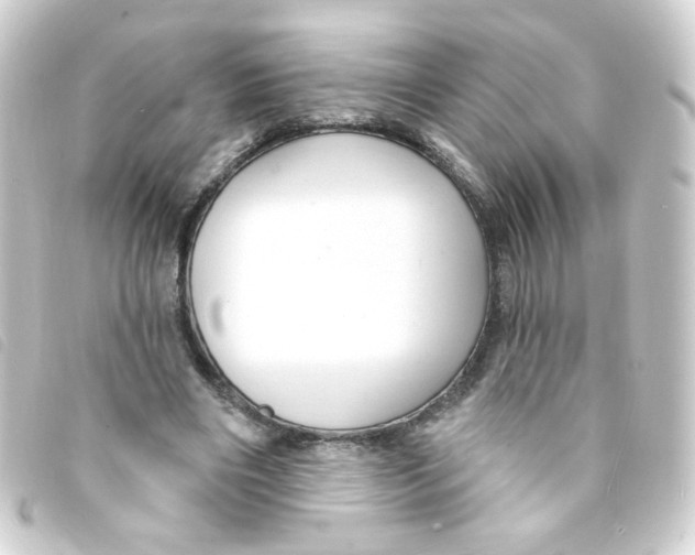 X0000093250490200710241317