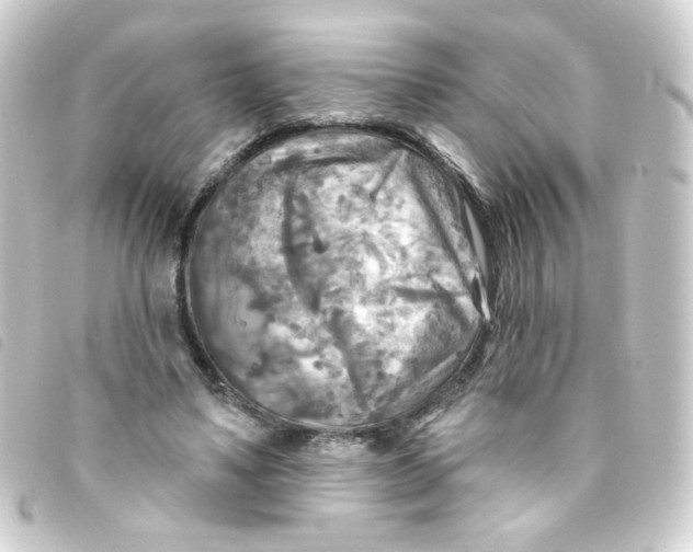 X0000093250491200710241317