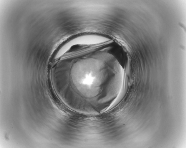 X0000093250492200710241317