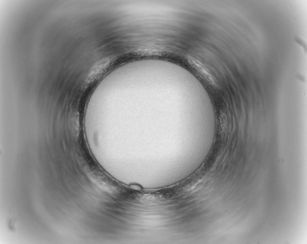 X0000093250494200710241317