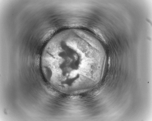 X0000093250495200710241317