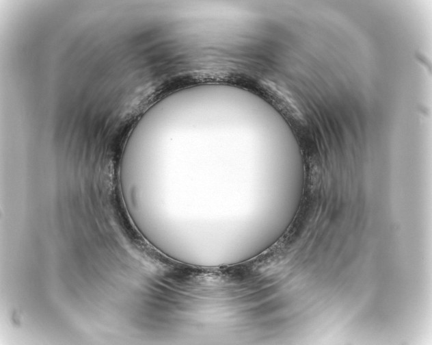 X0000093250498200710241317