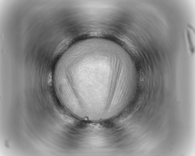 X0000093250502200710241317