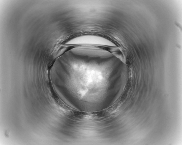 X0000093250504200710241317