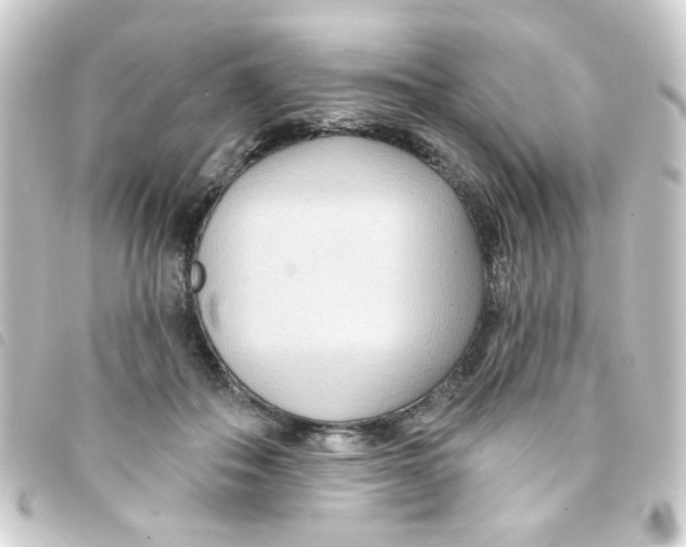 X0000093250506200710241317