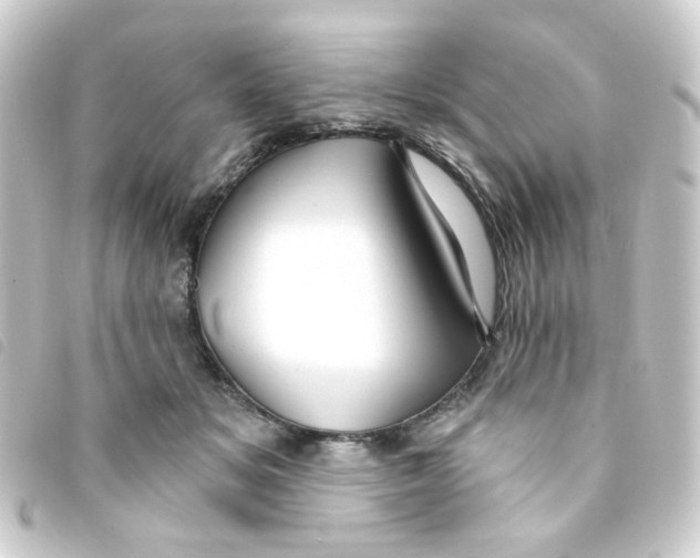 X0000093250509200710241317