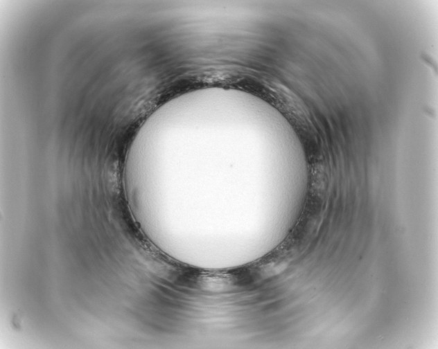 X0000093250510200710241317