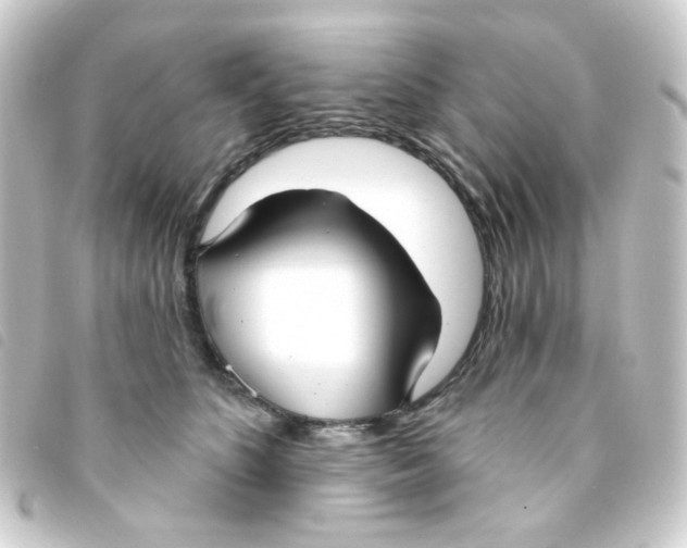 X0000093250516200710241317