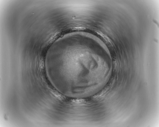 X0000093250517200710241317