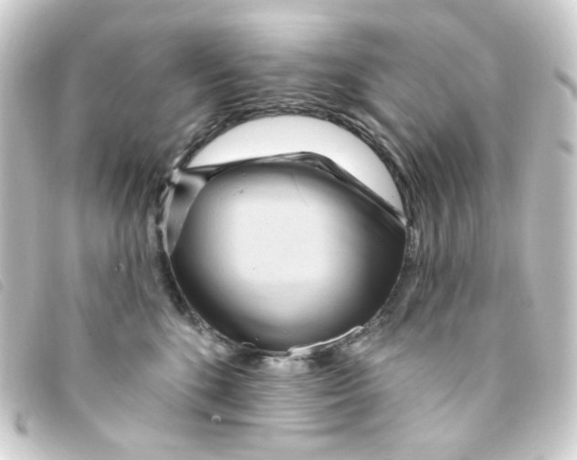 X0000093250520200710241317