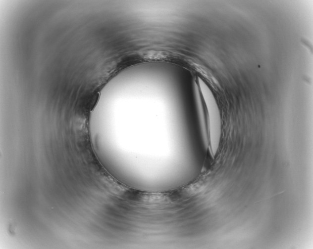 X0000093250521200710241317
