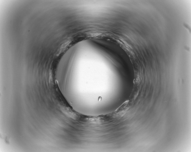 X0000093250524200710241317