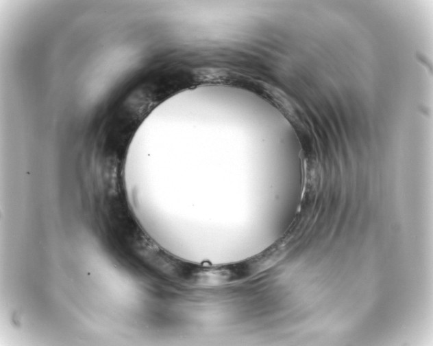 X0000093250525200710241317