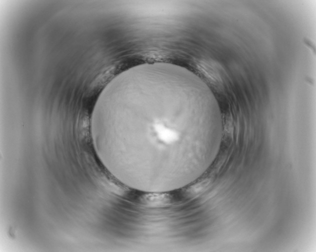X0000093250526200710241317