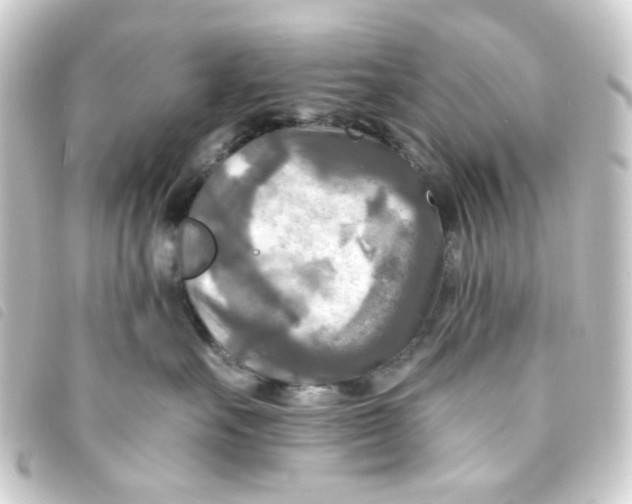 X0000093250527200710241317