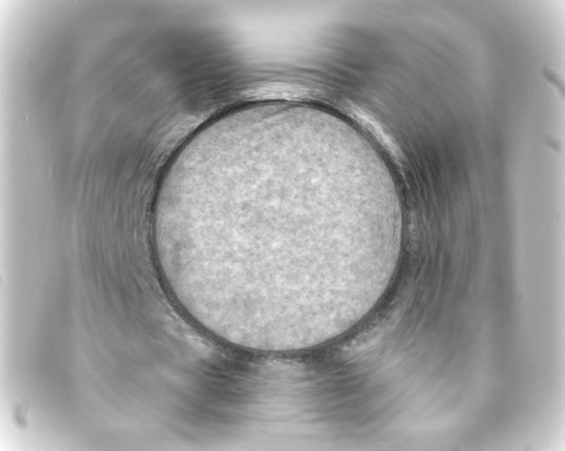 X0000093250529200710241316